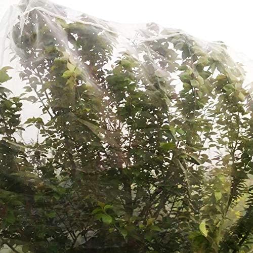 Red de protección vegetal - 2x10m Red de prevención de insectos ...