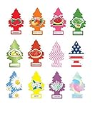 Little trees air fresheners Scents of Summer Variety 12 Pack