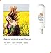 20% Vitamin C Serum Skin Care with Citrus Stem Cells, Vegan Ceramide, Hyaluronic Acid, Vitamin E + B, 1 fl oz Amazing Results by Se Guérir