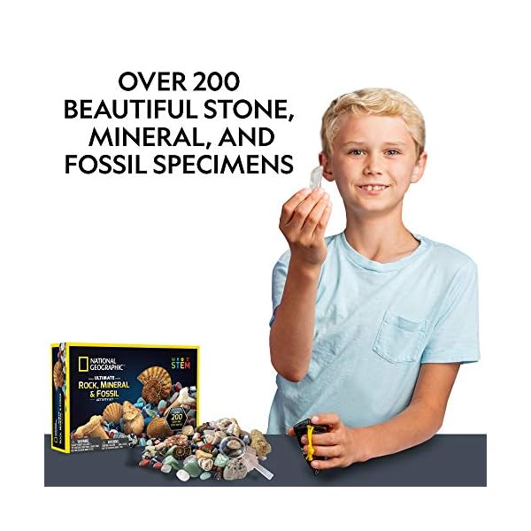 NATIONAL GEOGRAPHIC Edelsteine und Fossilien Set - 200-teiliges Set mit Geoden und Echten Fossilien -Rosenquarz Jaspis… – Bild 7