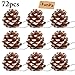 FunPa Pine Cones for Christmas Tree Decorations - 72Pcs Decorating Pinecones with Lanyard for Garland Thanksgiving Halloween Xmas Tree Ornaments