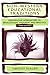 Non-Western Educational Traditions: Alternative Approaches to Educational Thought and Practice (Sociocultural, Political, and Historical Studies in Education)
