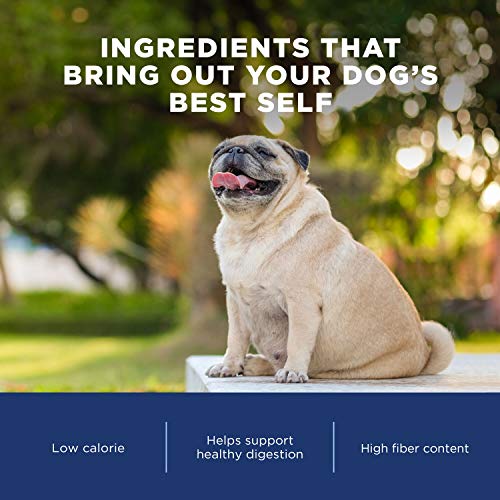 Natural Balance Fat Dogs Low Calorie Chicken Meal Salmon Meal, Garbanzo