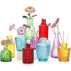 Coloch Set of 10 Colored Bud Vases, Assorted Small