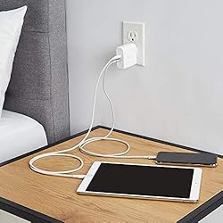 Amazon Basics 36W Two-Port USB-C Wall Charger for