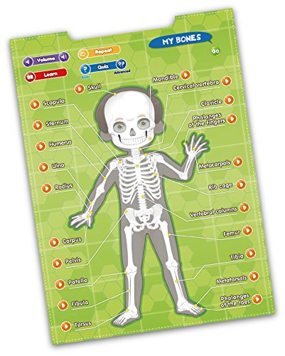 Best Learning i-Poster My Body