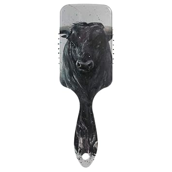 Amazon Com Elegant Bullfighters Act Perfectly Air Cushion Comb