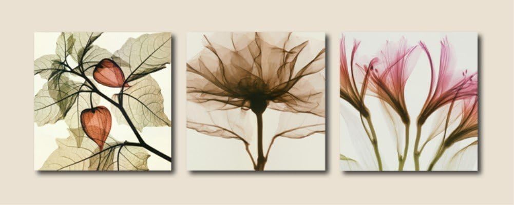 OBELLA New Wall Art Canvas Prints 3 Pieces - Abstract Transparent Flowers - With Inner Frames, Ready to Hang - Posters Oil Paintings Prints and Pictures Photo Image Wall Art Prints on Canvas for Bedroom Living Room Wall Decor Christmas Gifts Decoration (30*30cm x 3p)