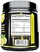 BCAA Amino Acid Powder 5000mg TOP RATED #1 Instantized BCAA Powder Leucine, Valine, Glutamine Supplement MEGA DOSE Lemon Lime - Build and Preserve Muscle + Lose Fat w/Surge BCAA 2:1:1 Powder