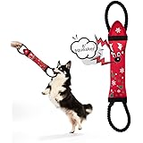 Purrrfect Life Fire Hose Interactive Squeaking Water Dog Toy, Dog Toy for Tug O War, Durable Dog Chew Toy with Squeakers, No 