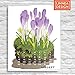 Linnea Design 2020 Poster Wall Calendar 11 X 14 Inches Art by Johanna Riley