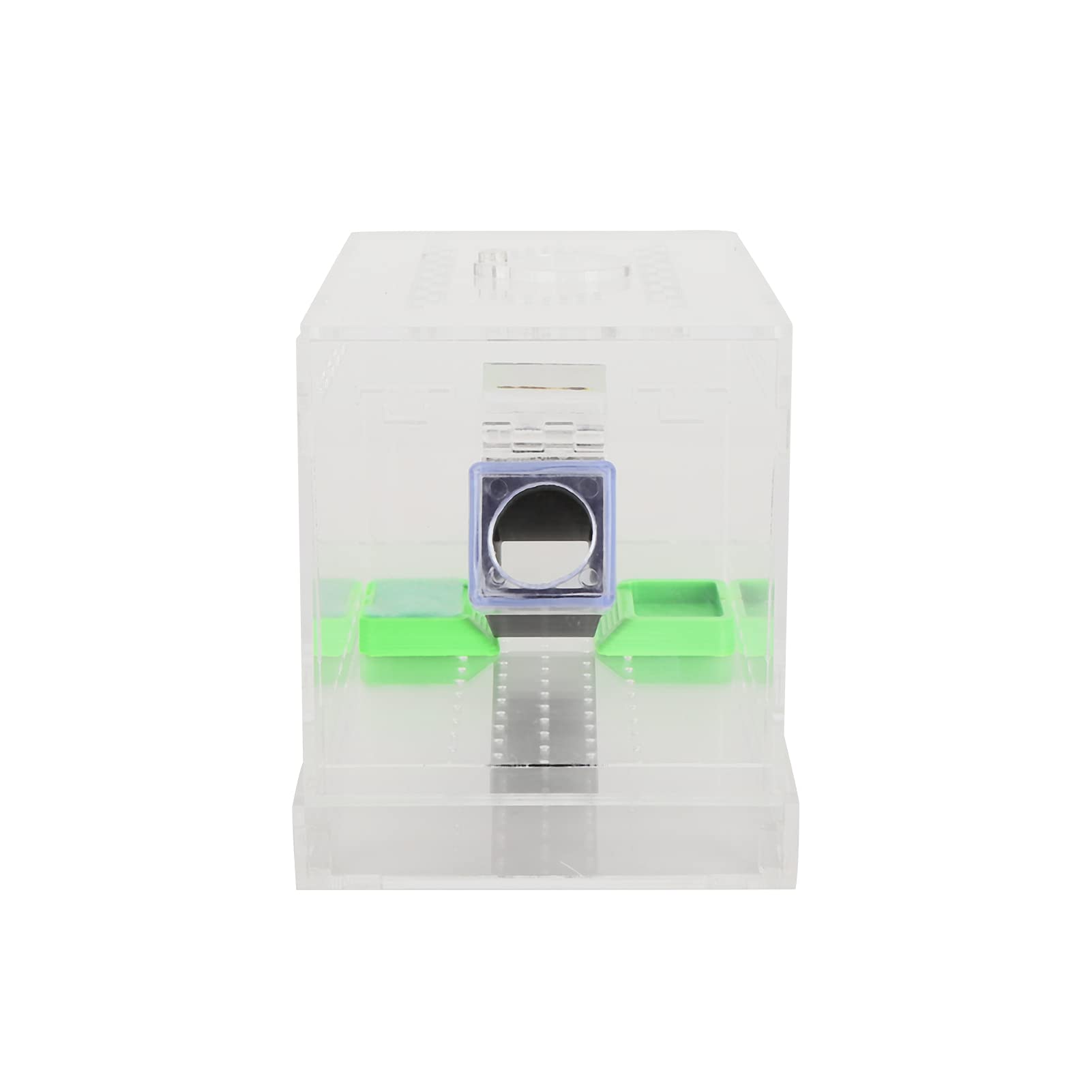 Cricket Keeper, Acrylic Feeding Cricket Pen with Tubes Insect Cockroach Care Kit Reptile Feeding Box (L)