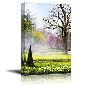 Beautiful Scenery in a Park in a Summer...