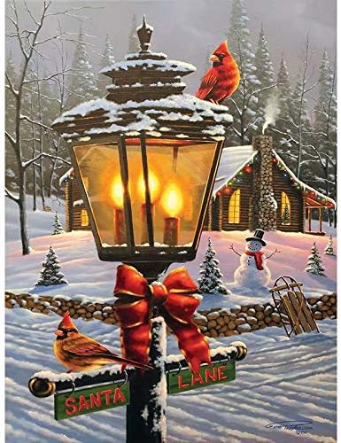 DIY Full Diamond Painting Cross Stitch kit for Adults Home Decoration Street Landscape of Housing
