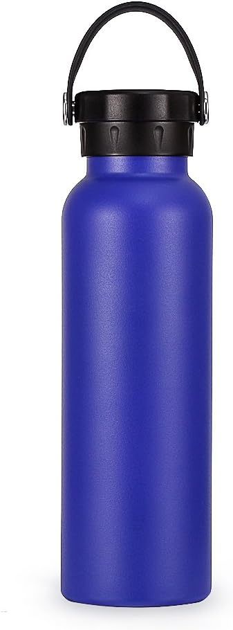 Landnics Stainless Steel Bottle, Vacuum Insulated Water Bottle 20.5oz, Leak-Proof Drinking Bottle, Double Wall Thermos, Vacuum Flask 24 Hrs Cold 22 Hrs Hot - BPA Free