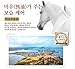 [d'Veil] Reverse Time Repair Jeju Horse Oil Cream, Korean Skin Care Moisturizer for dry skin and normal skin. Korean Beauty - Anti Aging Face Cream Moisturizer