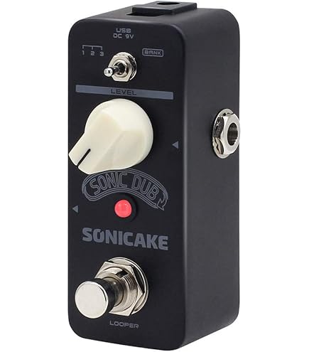 ギター tc electronic DITTO Looper TC Electronic Guitar Ditto Looper Effects Pedal : Amazon.ca