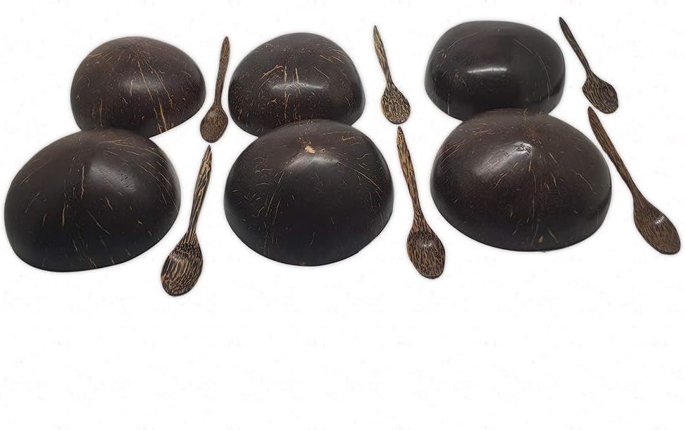 VIE Gourmet Mini Coconut Bowls and Spoons, Set of 6, Brown, One - Image 4