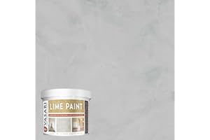 VASARI Lime Plaster & Paint | LIME PAINT | Made from Natural Lime and Powdered Marble | color: Cement Grey #21 | size: 1 Quart