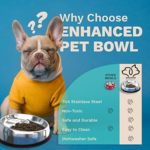 Enhanced Pet Bowl, Stainless Steel Slanted Dog Bowl with Raised Ridge