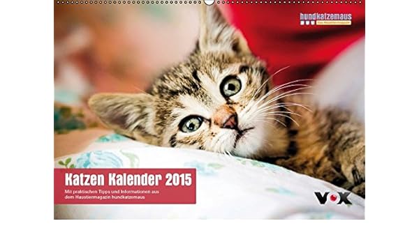 Hundkatzemaus Katzen Kalender 2015 Author Television