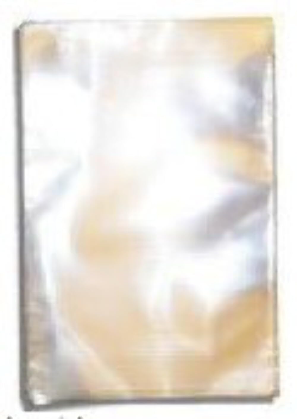 Ancient Wisdom 500 x Sacs Poly-Prop 135 x 200 mm Referrable Bags, Multicoloured, Single