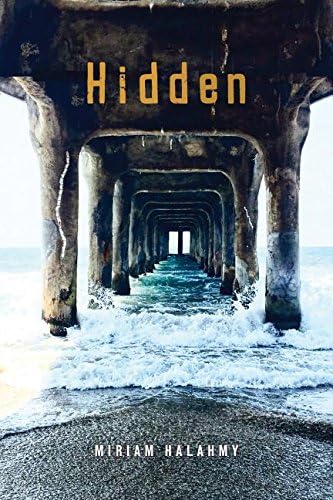 Hidden Hardcover – September 15, 2016