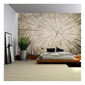 Up Close Portrait of The Wrinkles and Cracks Inside of a Tree Trunk - Wall Mural, Removable Sticker, Home Decor - 66x96 inches
