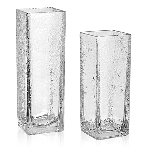 TERESA'S COLLECTIONS Modern Tall Glass Vase for Flower , Set of 2 Large