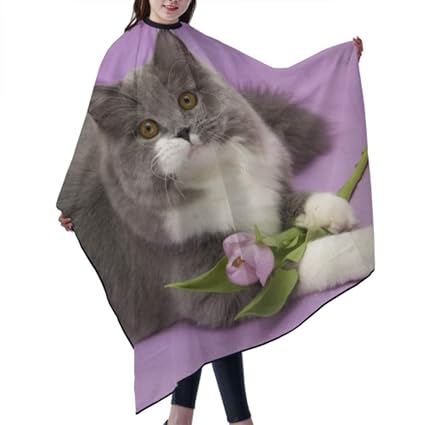 Amazon Com Cats Playing By Vases Hair Cutting Cape Kids Boy