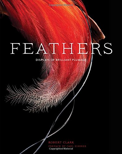 Download Feathers: Displays of Brilliant Plumage Download Feathers: Displays of Brilliant Plumage