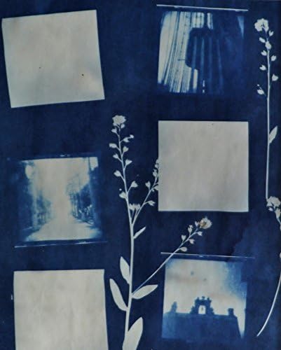 Caribbean Memories Cyanotype Holga Film Negatives Handmade Unique Artwork 8x10 matted to 11x14