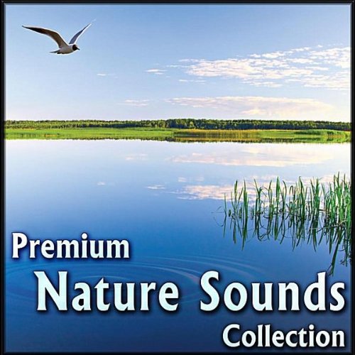 Nature Sounds Music Soft Piano Melodies with Ocean Waves by Soothing