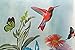 Fabric, Blue with Flowers, Birds and Butterflies SYOM Shower Curtain Set with Hooks Polyester Non-toxic and Anti-Bacterial, Machine Washable, 70x70 inch