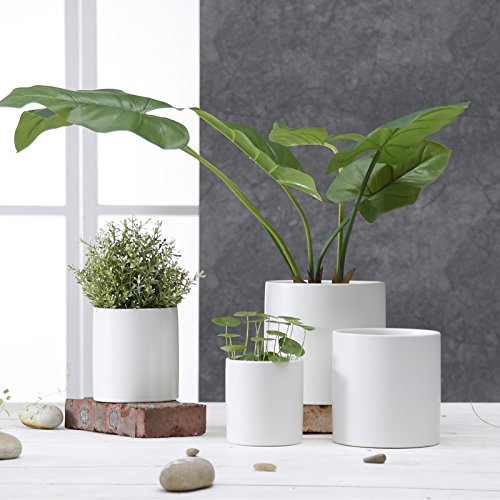 Greenaholics Plant Pots - 5.9 + 4.7 Inch Matt Ceramic Planter with Drainage Hole for Flower, Cactus, Succulent Planting, Set of 2, White