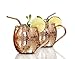 Hudson Copperworks 2 Hammered Finish Pure Solid Copper Moscow Mule Mugs