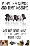 PUPPY DOG NAMES AND THEIR MEANING