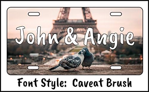 Custom Paris Eiffel Tower Oh LaLa 2 Birds in Love License Plate Personalized Tag for Car or Truck US Seller