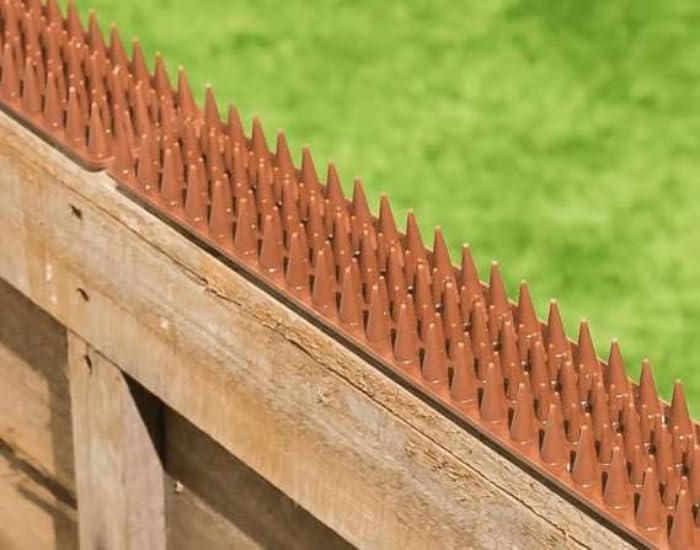 Primrose Fence Spikes - Cat Garden Wall Security Anti Climb Detterent Spike Strips - Brown - Pack of 10