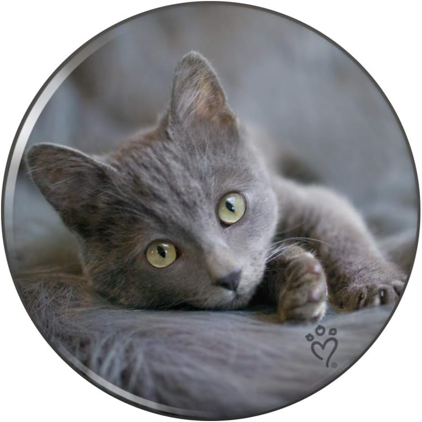 Best 1 Inch Round Printed Refrigerator Magnets