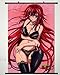 Home Decor High School DXD New Cosplay Wall Scroll Poster Rias Gremory 23.6 X 35.4 Inches- 074