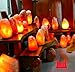 PDTXCLS Zmaomaoy AMAHLE YIROCK New Windsor Seasons SuperGlow 5-6 inch Genuine Himalayan Salt Lamp. 6ft UL-Approved Cord with Dimmer Switch and Bulb