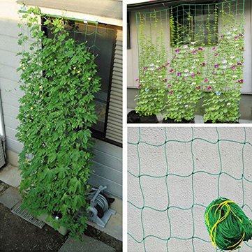 Generic Climbing Plant Nylon Supporting Netting Garden Vegetable Fruit Vines Support Mesh Amazon In Garden Outdoors