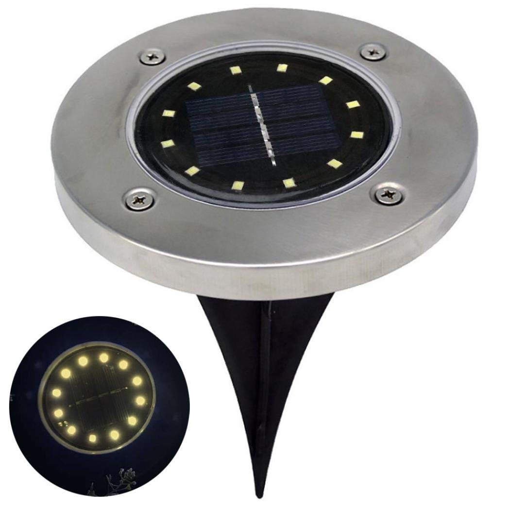 Best Solar Garden Lights Frog