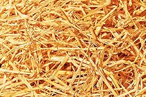 Double F Farms Premium Organic 100% Natural Straw for Animal Bedding, Garden Mulch, Compost & Fertilizer, and Grass Cover