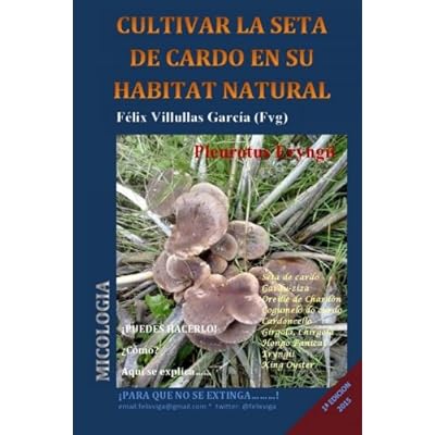 Cultivar la seta de cardo en su habitat natural (Pleurotus Eryngii): BLACK AND WHITE Cultivar la seta de cardo en su habitat natural (Pleurotus Eryngii): BLACK AND WHITE