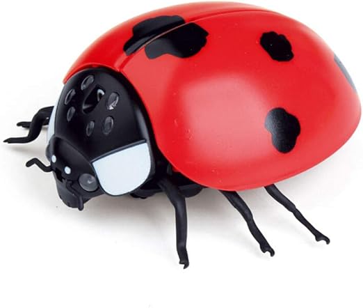 Fliegender Marienkäfer Malen