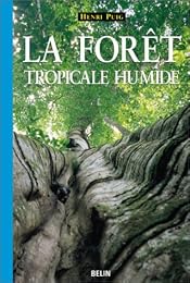 La  forêt tropicale humide