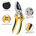TOMORAL Professional SK-5 Steel Blade Anvil Pruning Shears(TM-PS-001), Cushion Shock Absorber Design, Ergonomically Design Handle.thumb 1