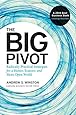 The Big Pivot: Radically Practical Strategies for a Hotter, Scarcer, and More Open World